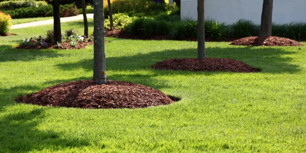 The Science Behind Achieving a Perfect Lawn The Science Behind Achieving a Perfect Lawn