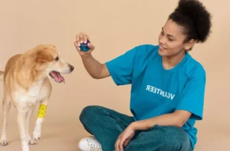 How Do Smart Pet Gadgets Help With Interactive Play and Engagement?