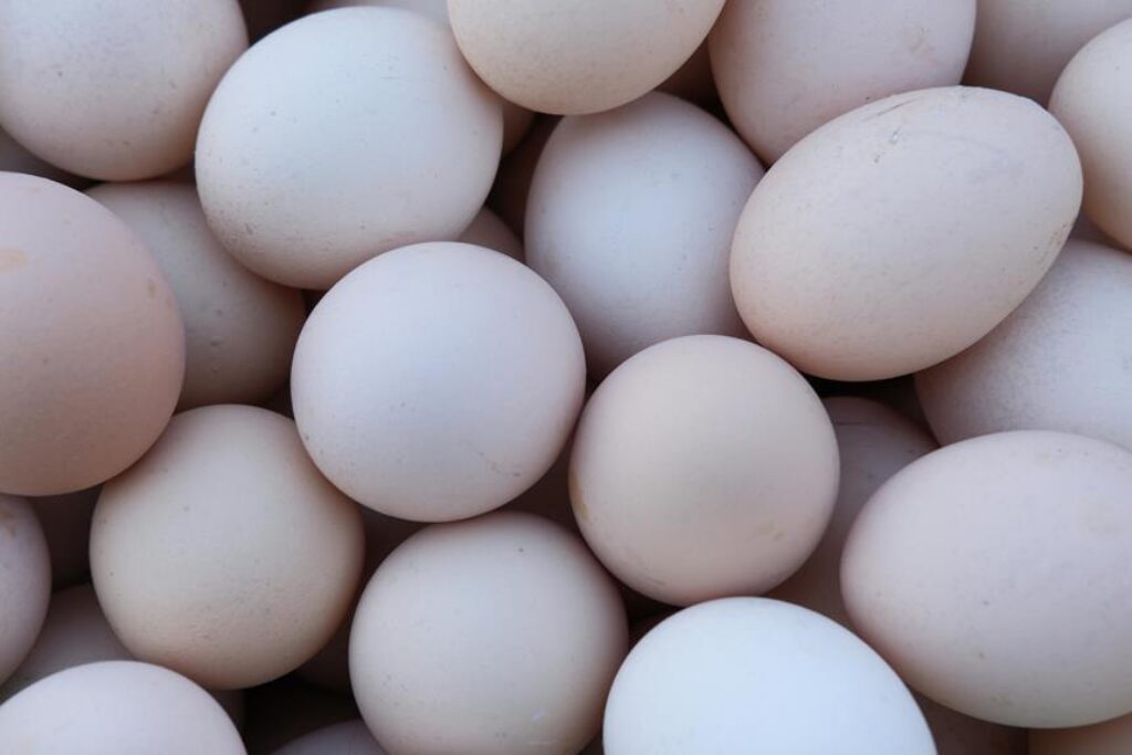 What Are the Best Protein Sources for Outdoor Cooking? What Are the Best Protein Sources for Outdoor Cooking?